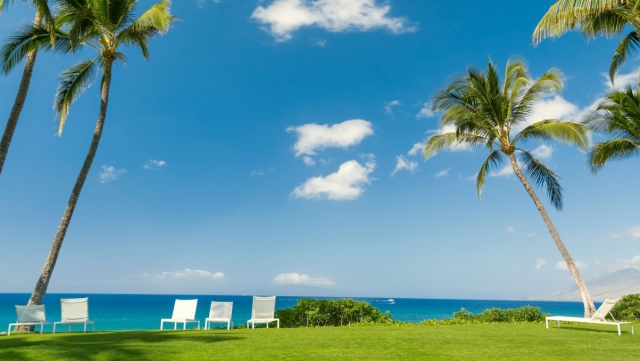 金年会：乒乓球台颜色要求