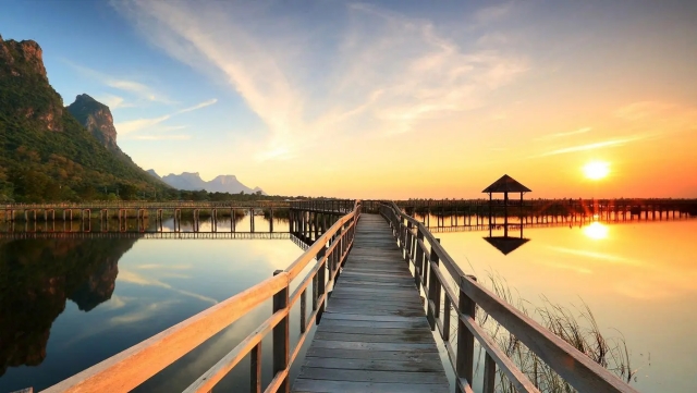 金年会集团：乒乓球台内搓球要领