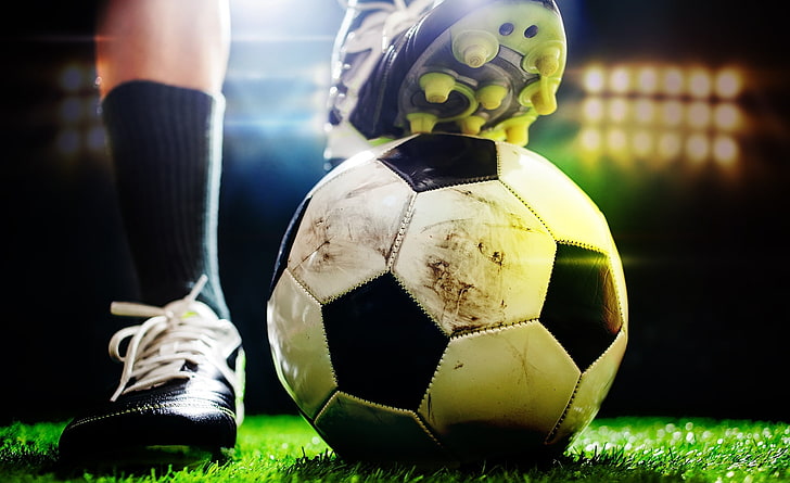 金年会公司：伊美优乒乓球台